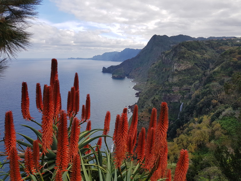 Madeira, Aktivurlaub quinta do furao