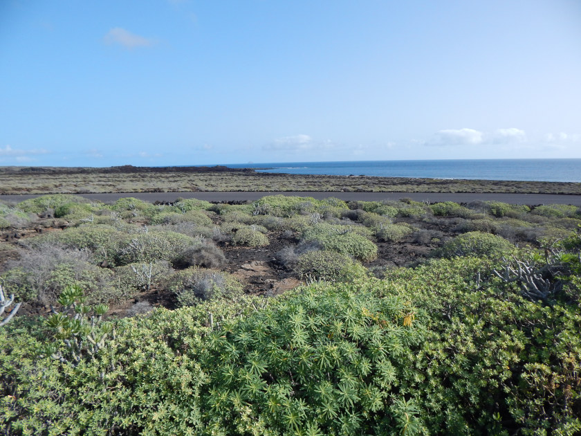 Landschaft